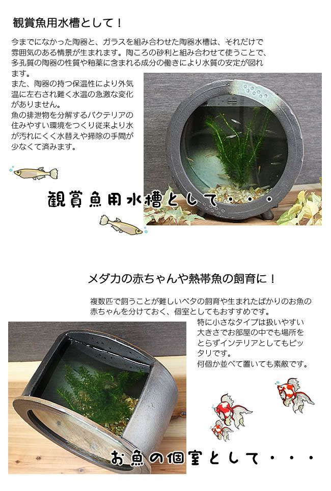 信楽焼 金魚鉢 メダカ鉢 アクアリウム ガラス 水槽 陶器水槽(大 信楽焼 金魚鉢 メダカ鉢 アクアリウム ガラス 水槽 陶器水槽(大