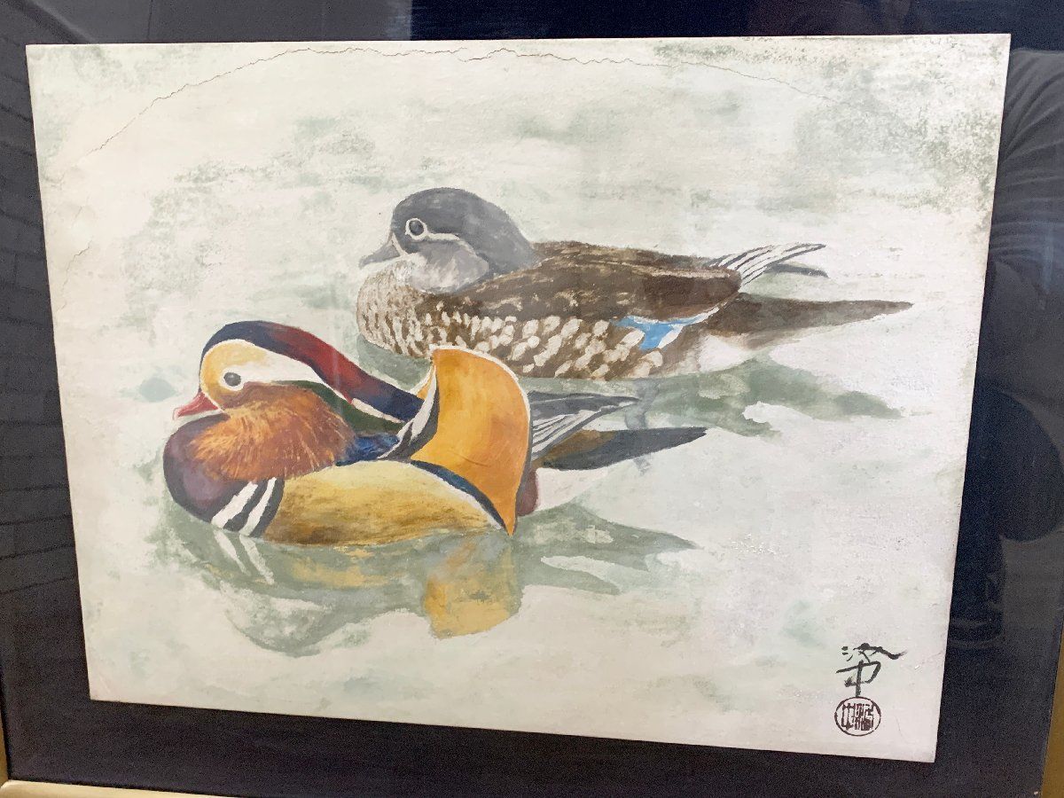 鴨