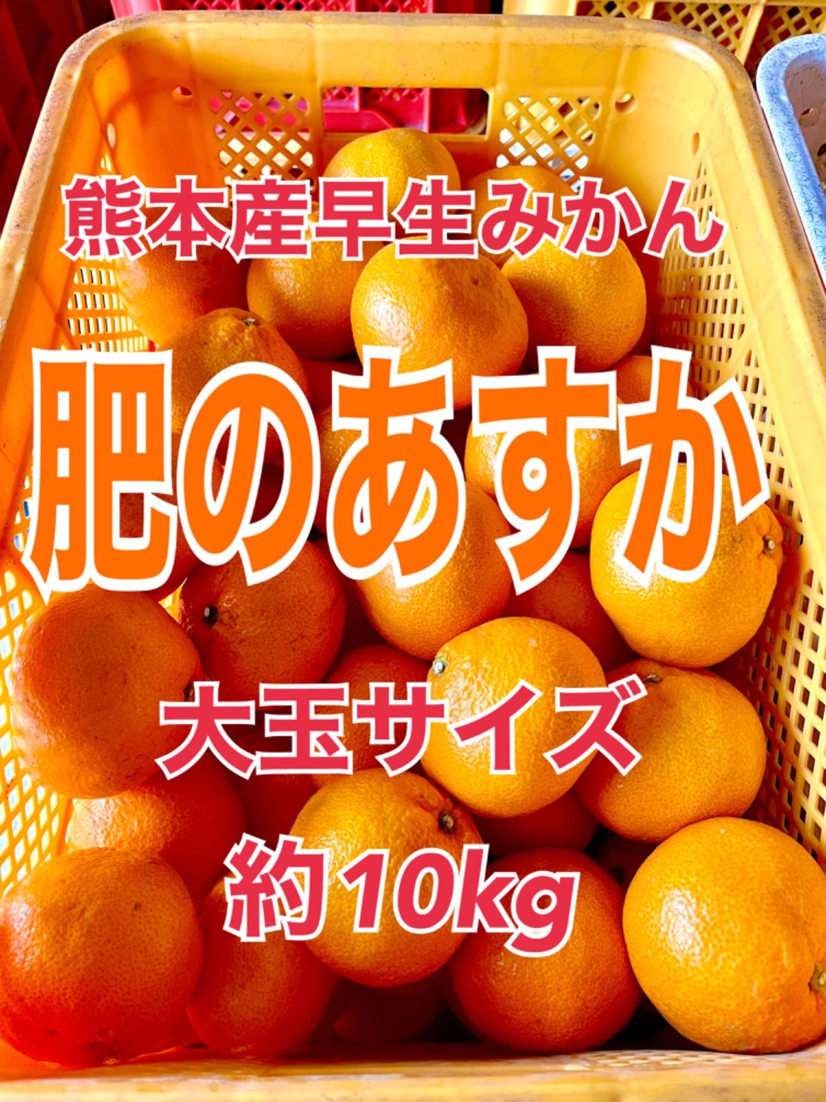 熊本産早生みかん[肥のあすか] 大玉サイズ約10kg - メルカリ