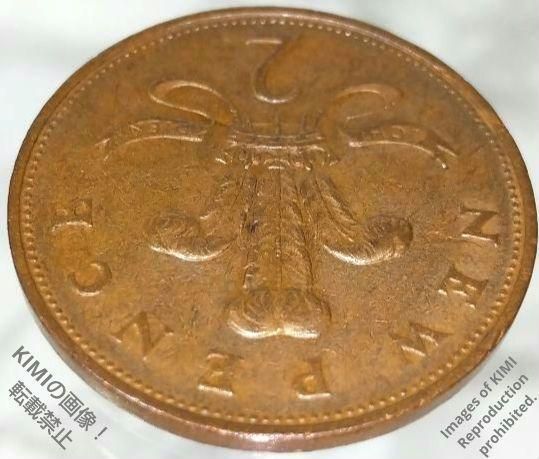 2 New Pence 1971 Elizabeth II 2nd portrait Bronze Coin Art 2
