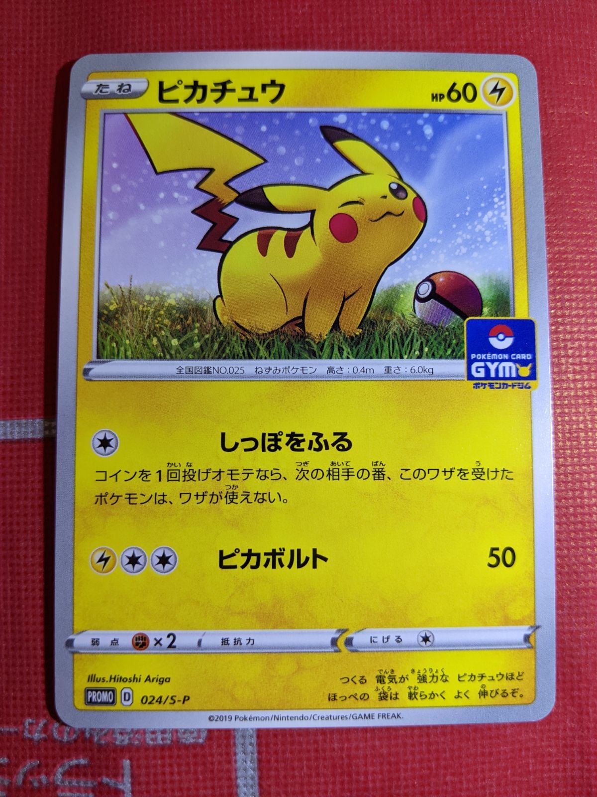 【PSA10】ピカチュウ：ジムプロモカードパック 第1弾 PROMO 024 ピカチュウ：ジムプロモカードパック 第1弾 PROMO S-Pプロモ