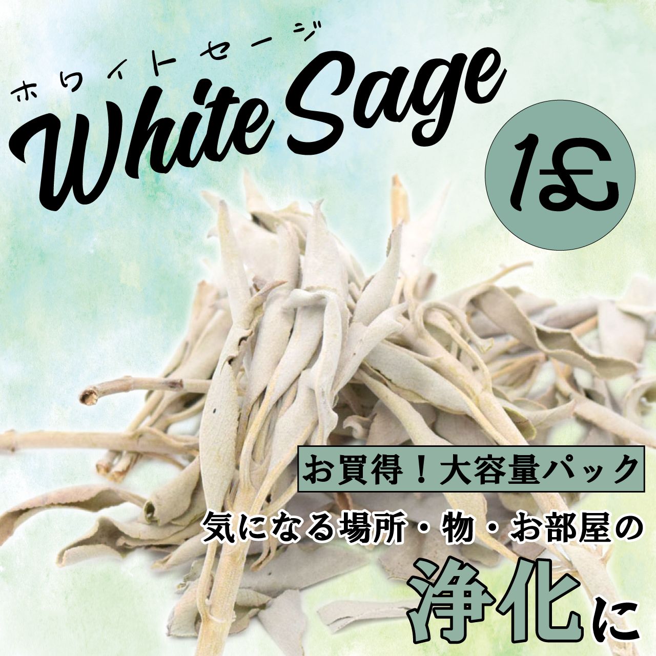 ○上田桑鳩○直筆 肉筆 色紙○雅号印ナシ○高級額入り○水上祥邦 鑑定