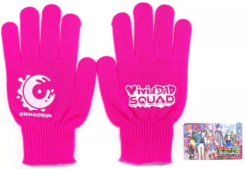 チュウニズム　グッズキャンペーン　Aime＆手袋(VividBADSQUAD) 中古】グッズセット Vivid BAD SQUAD ユニットオリジナル手袋
