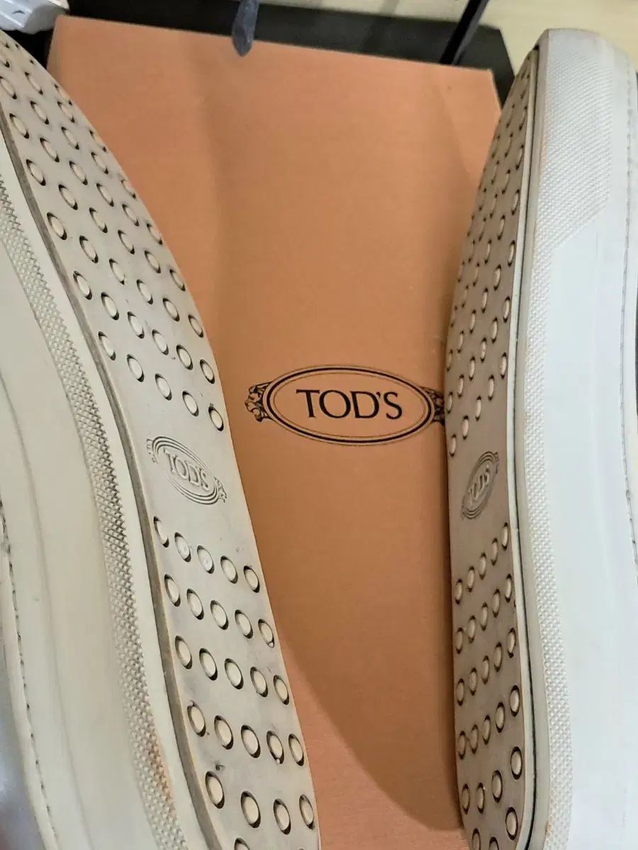 トッズ ネロ