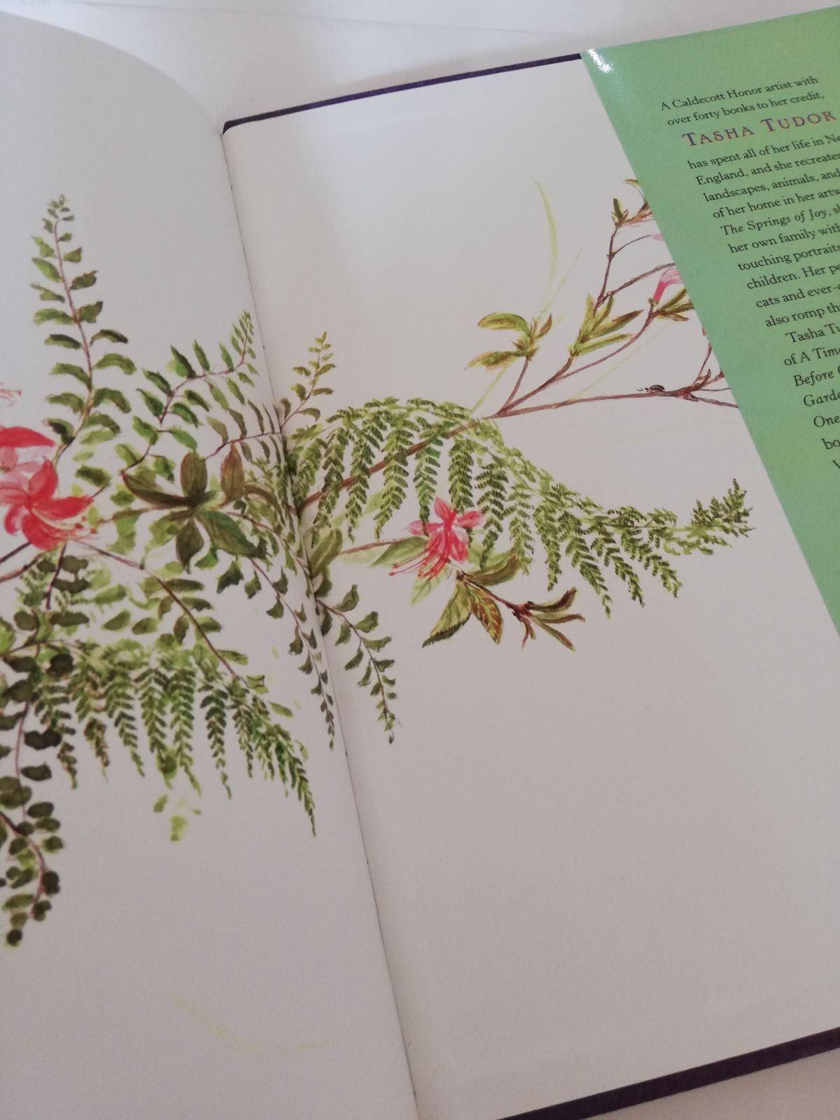 The Springs Of Joy　Tasha Tudor　洋書　喜びの泉　ターシャ テューダーと言葉の花束