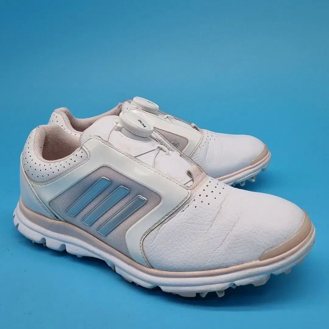 adidas(アディダス) ツアー ボア レディースゴルフシューズ 220