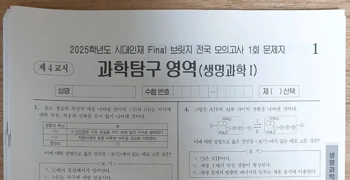 2025 生命科学 1 時代人材 ファイナルブリッジ 前者 セッション 18 灰