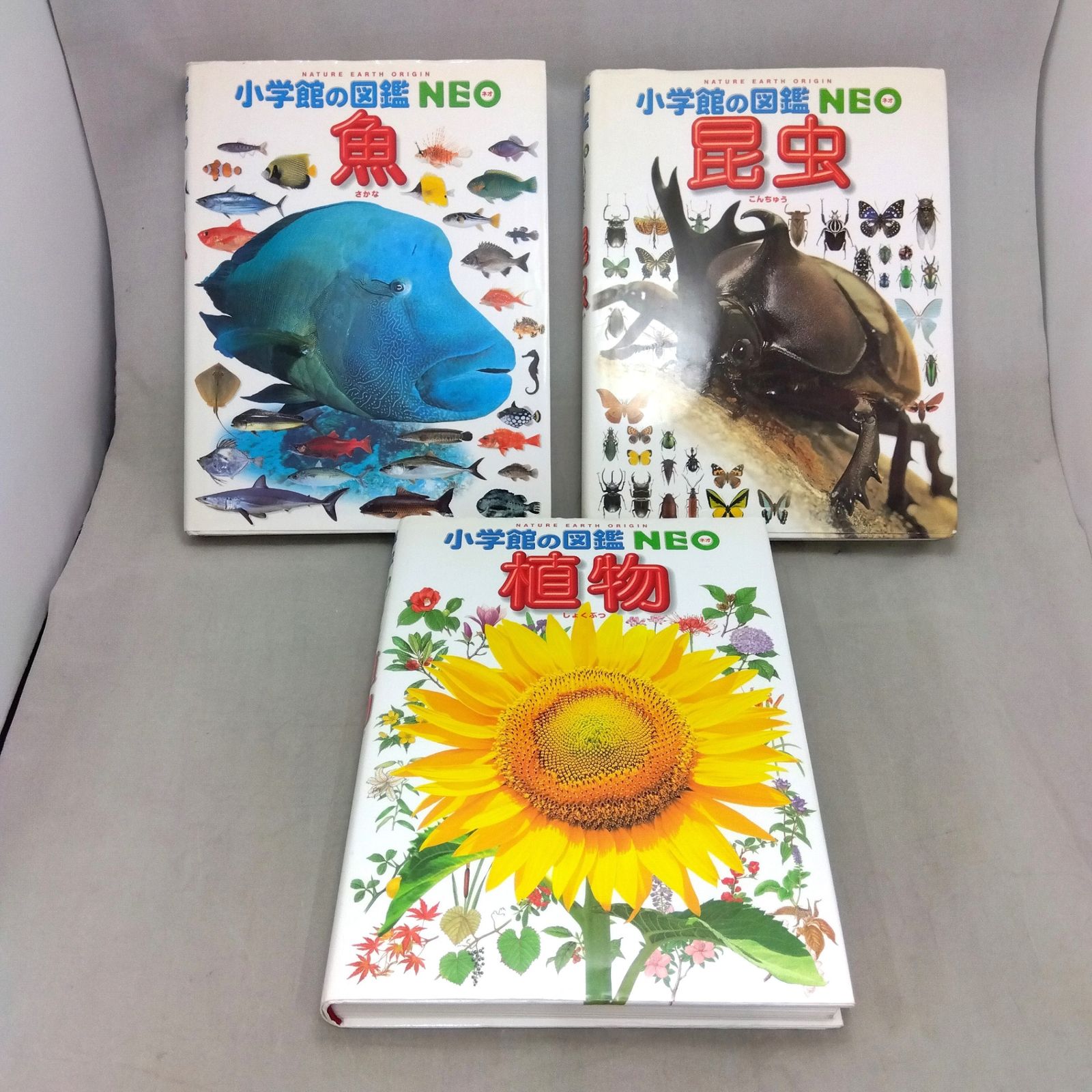 小学館の図鑑NEO 魚 昆虫 両生類 花 星と星座 人間 地球 岩石 水の生物 小学館の図鑑NEO 魚 昆虫 両生類 花 星と星座 人間 地球 岩石 水の