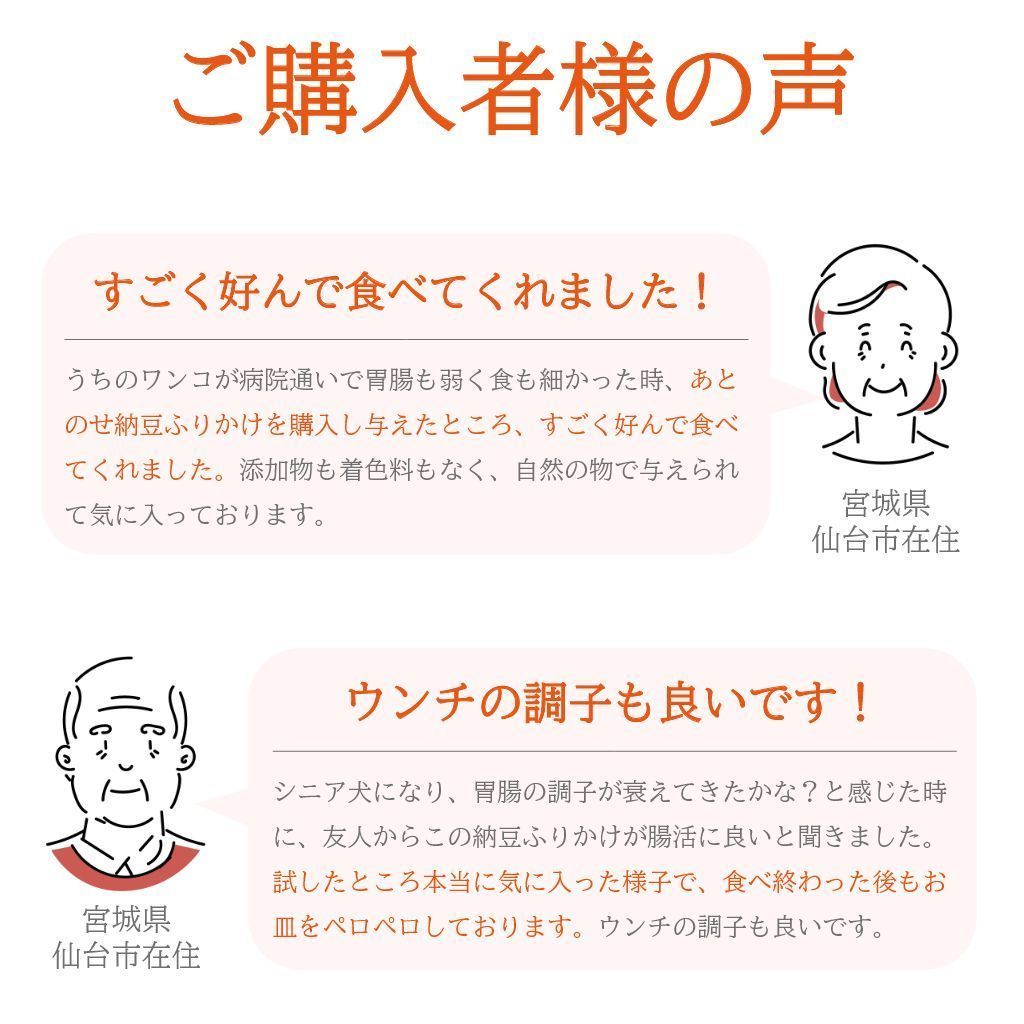 犬猫用あとのせ納豆ふりかけ【たっぷりサイズ100ｇ】3個セット【ネコポス商品】