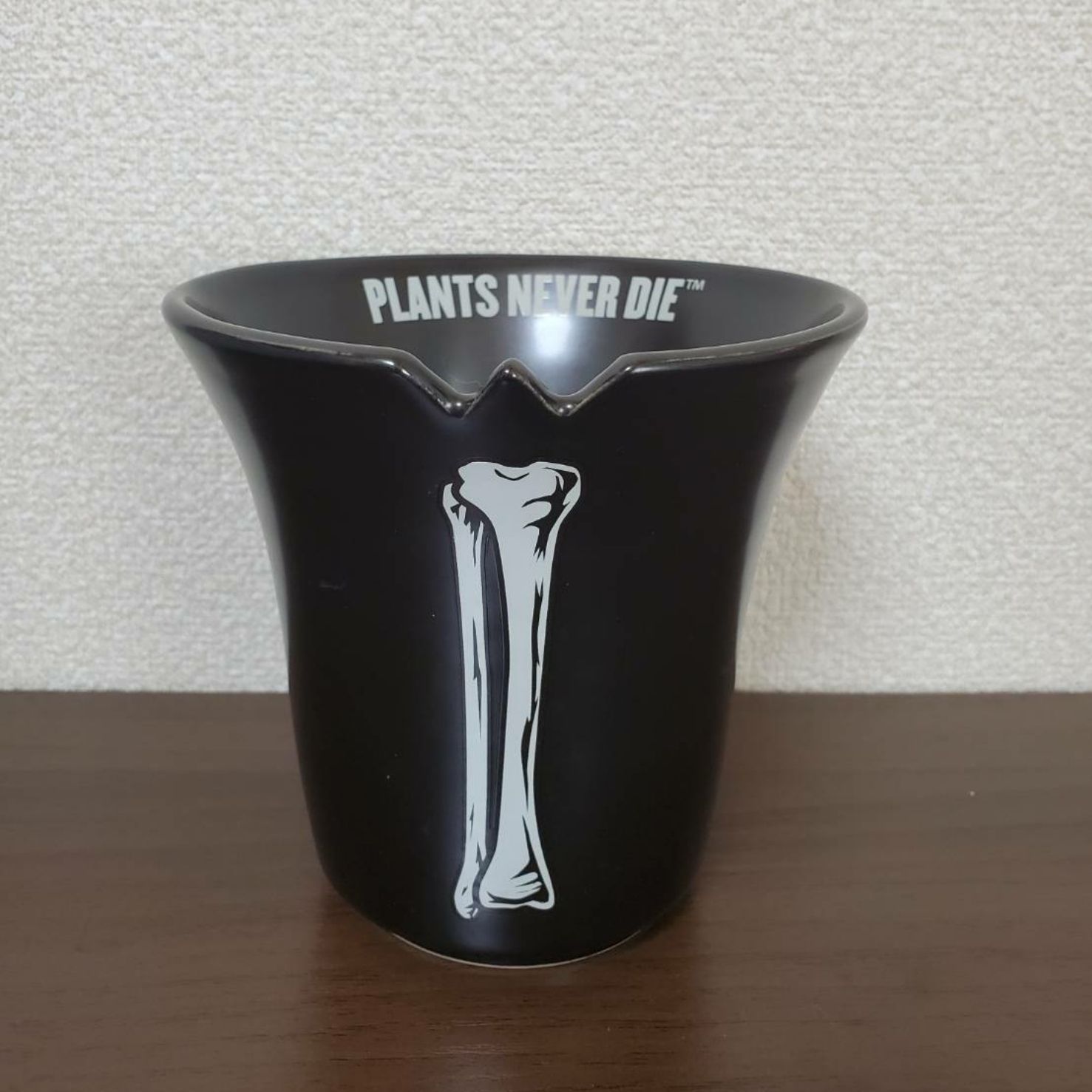 陶器鉢 PLANTS NEVER 荒削り DIE invisible ink