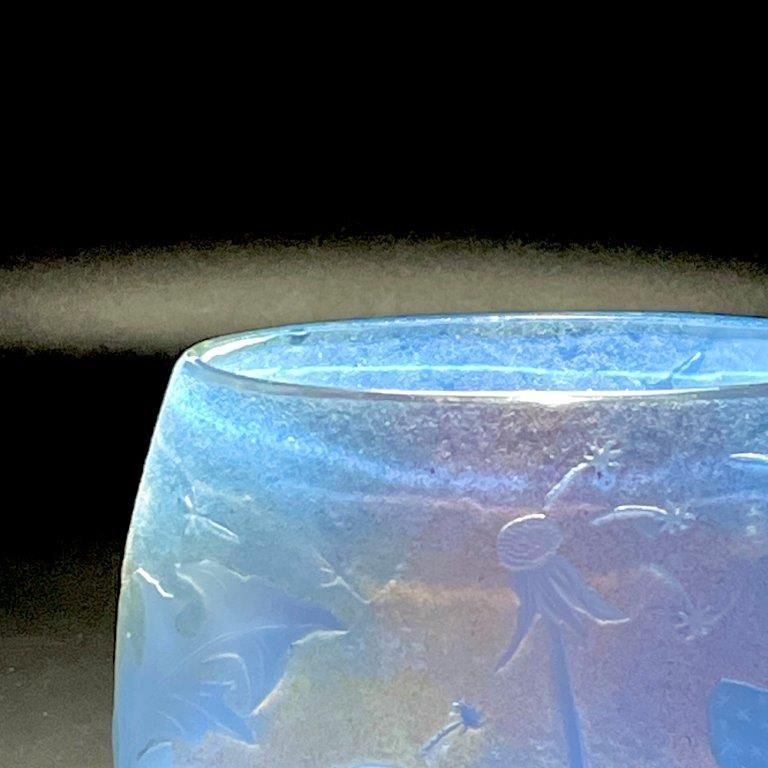 たんぽぽ ジヴレ