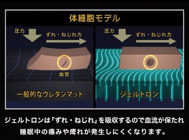 スーパーエクシード用セグメント 1枚