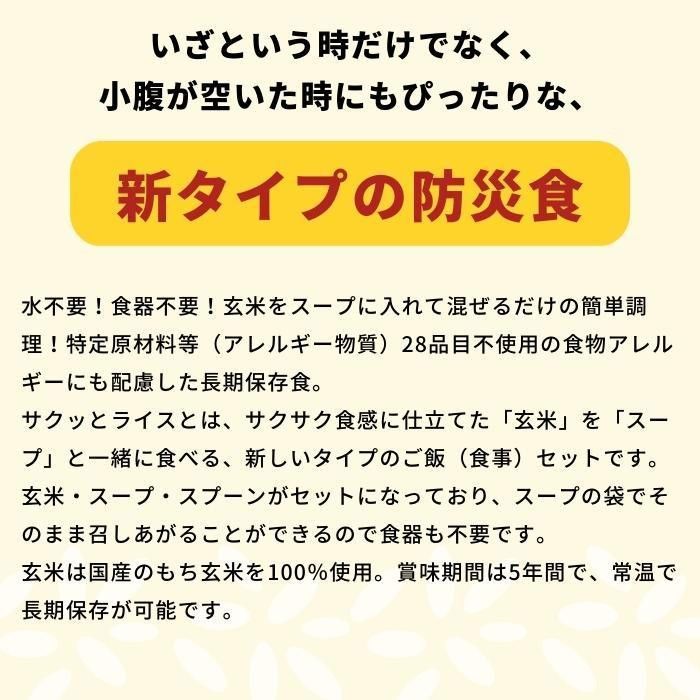 ×40袋セット 11421638