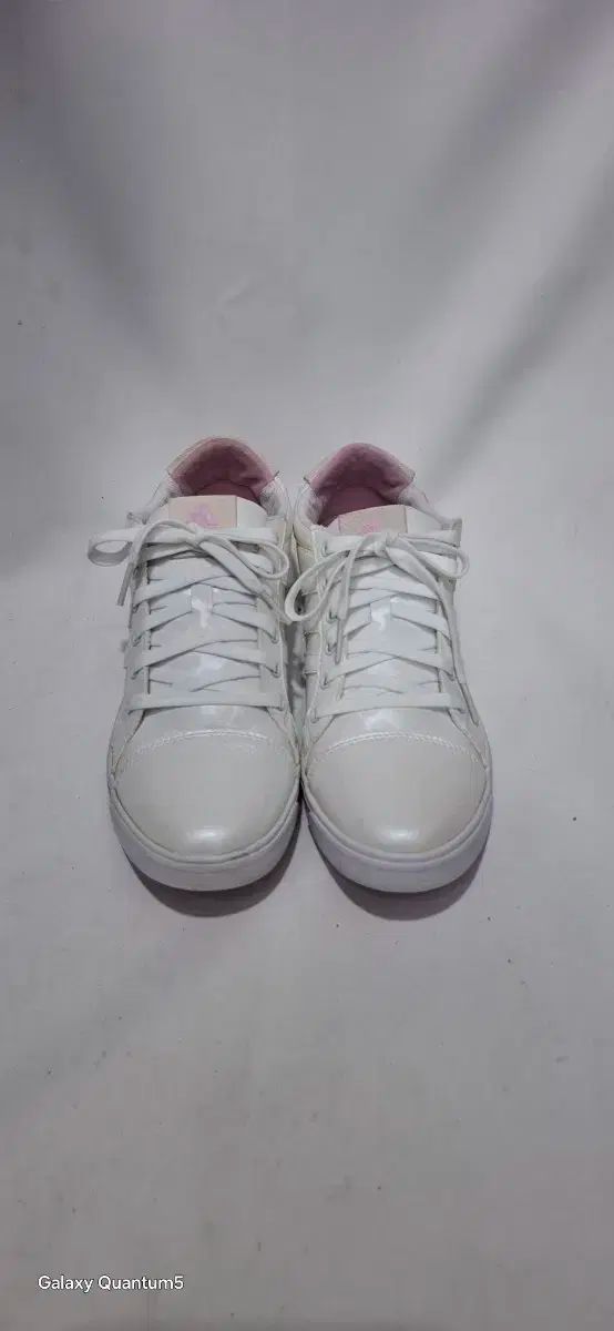 245 adidas(アディダス) TaylorMade（テーラーメイド