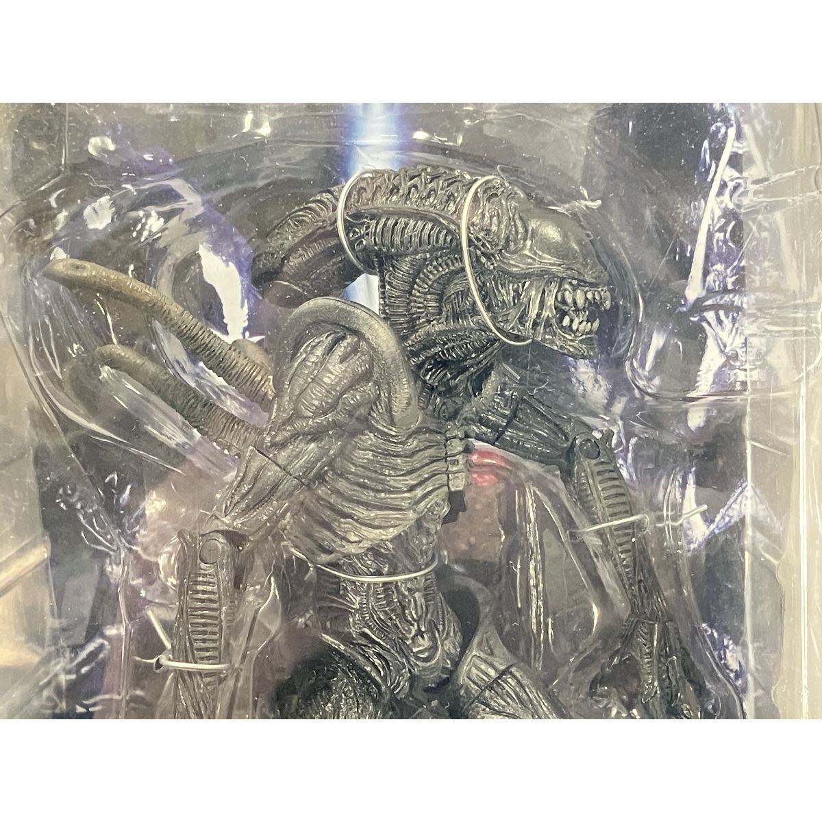 エイリアン ウォーリアー