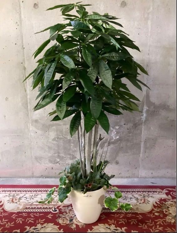 光触媒 人工観葉植物 ウォールグリーン フェイクグリーン アガベ