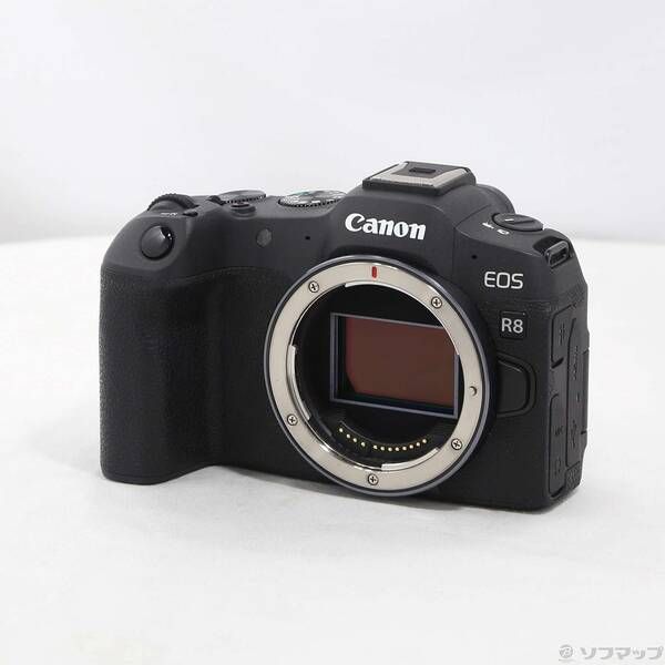 〔 品〕 EOS R8 ブラック ボディ 251