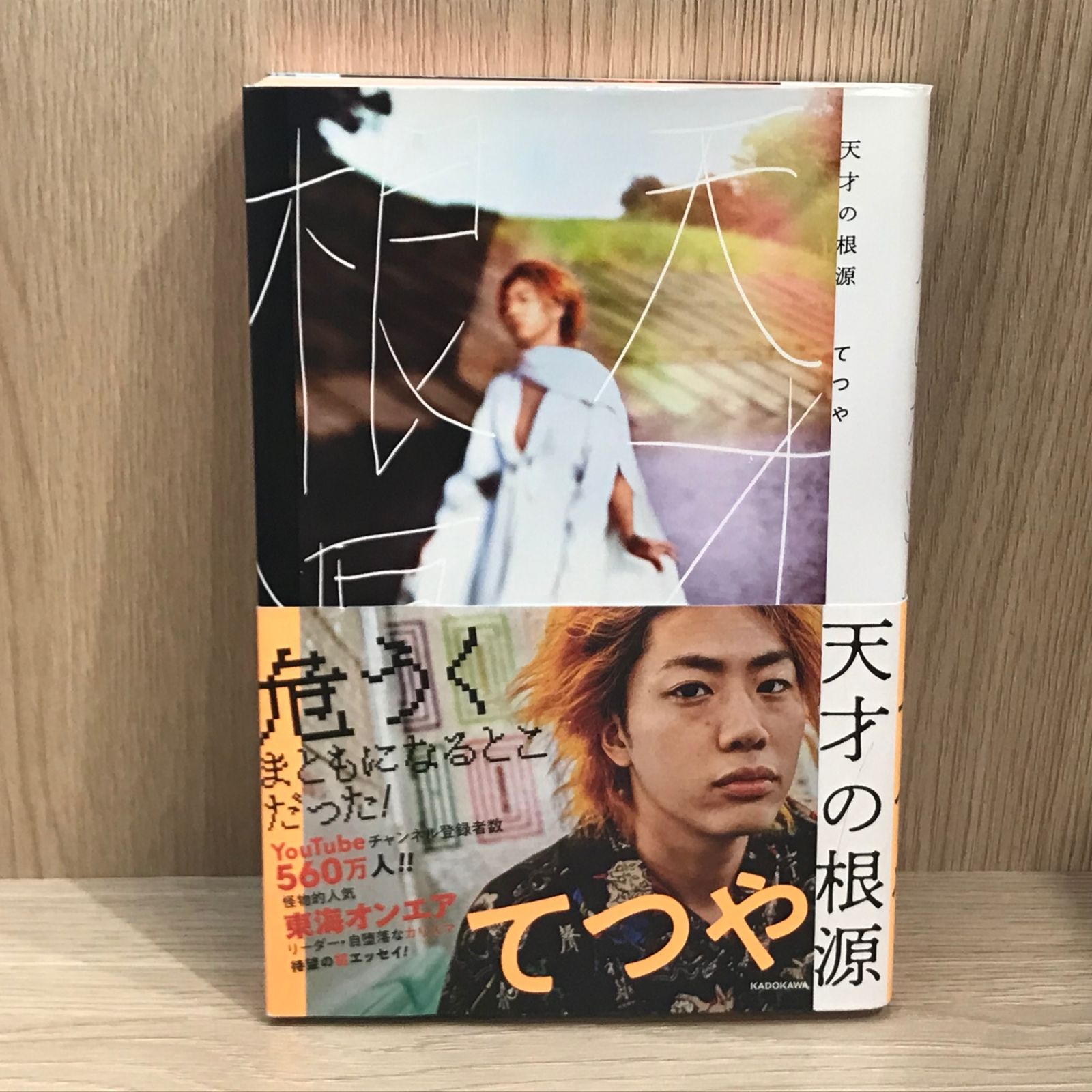 天才の根源 極限バージョン 6冊セット 東海オンエア 東海オンエア てつや 天才の根源 極限バージョン - メルカリ