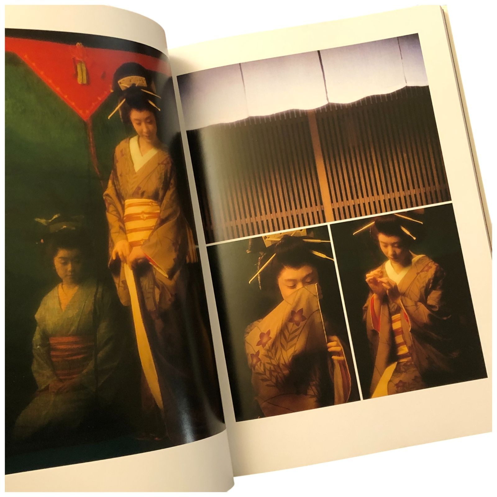 星野小麿 浮世絵くずし 総集編 豪華版日本芸術出版社 写真集 浮世絵くずし