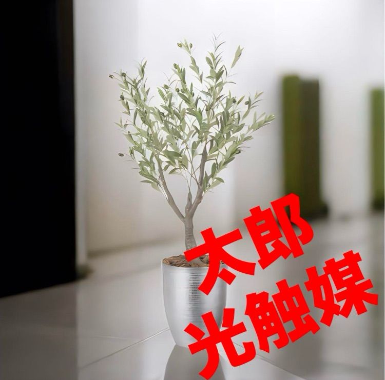 光触媒 人工観葉植物 フェイクグリーン インテリオリーブ1.25 光触媒 人工観葉植物 フェイクグリーン インテリオリーブ1.25