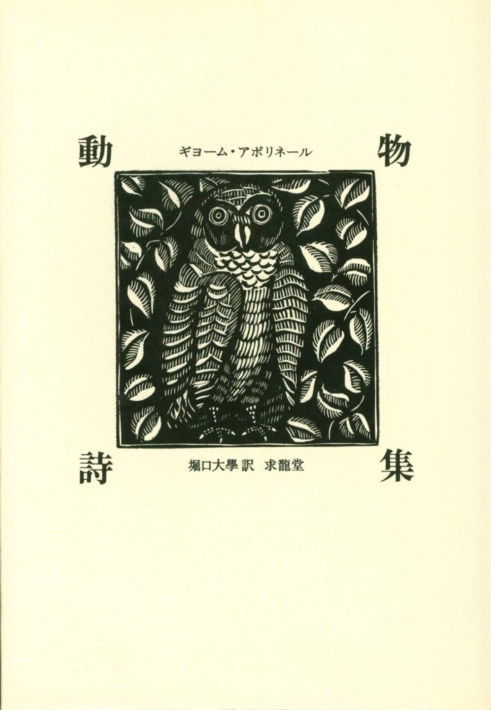 ちはやふる1〜50 全巻 中学生編1〜3 小説版1〜4 きみがため1～4
