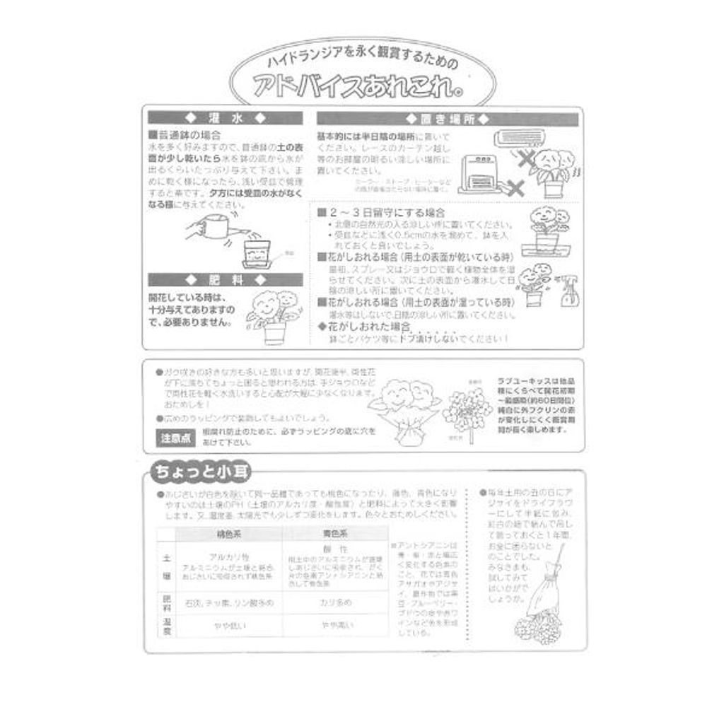 来年育成用アジサイ5種♡メルカリ便 来年育成用アジサイ5種♡メルカリ便 - メルカリ