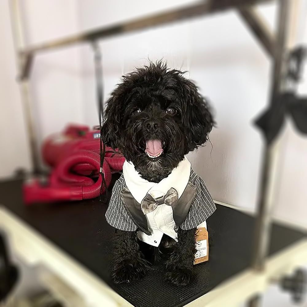 ユキ様の専用ページ⑥ 手作りの犬服 mqdefault.jpg