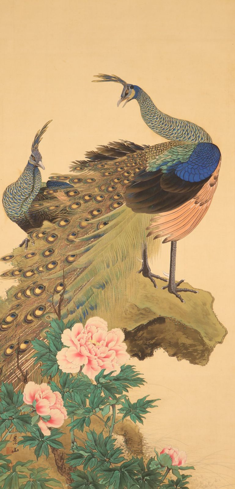 dr1878 美品 掛け軸 梅村景山作 大幅 牡丹孔雀図 共箱 今尾景年