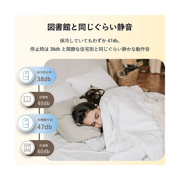  サイエルインターナショナル 保冷米びつ ライスクーラー11 L SLI RC 11 米びつ 保存容器 ケース