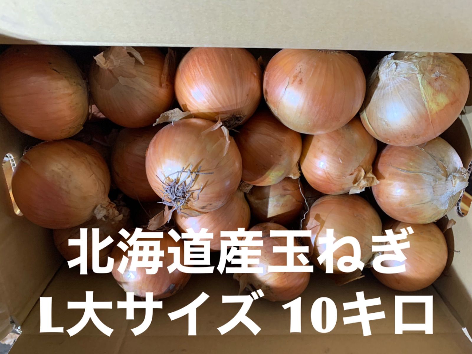 玉ねぎ 北海道 2０キロ L大 - 野菜
