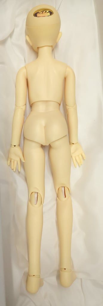 メイ