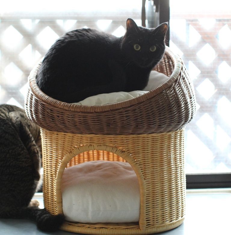 シンシアジャパン ラタンポムハウス キャットハウス ブラックりんご