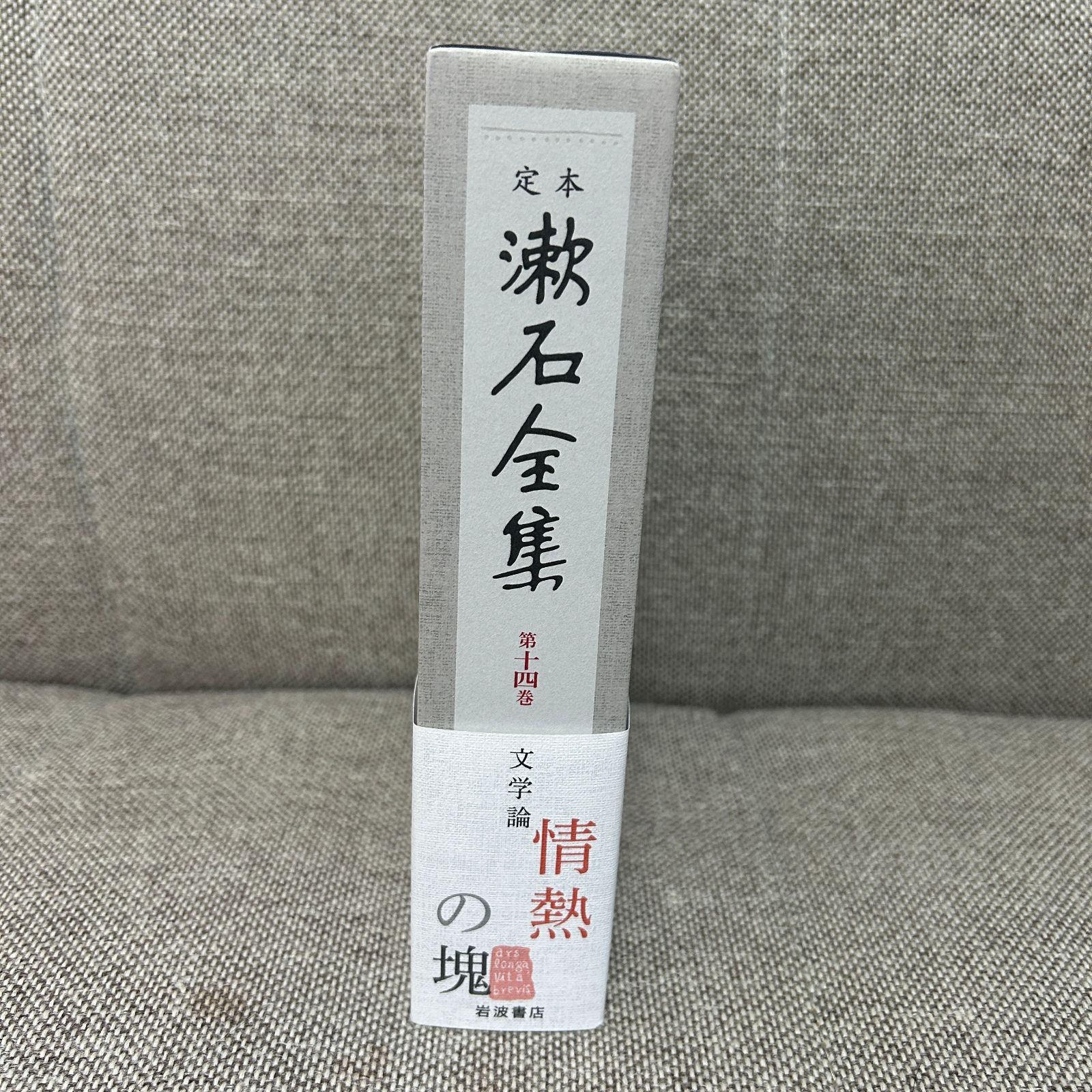 新品未読品】 定本 漱石全集 第14巻 文学論 岩波書店 - メルカリ