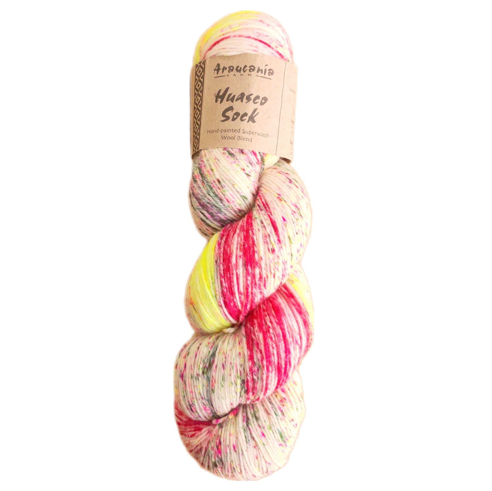 Araucania yarns Huasco sock ソックヤーン 手染め ideiasoltec.com.br