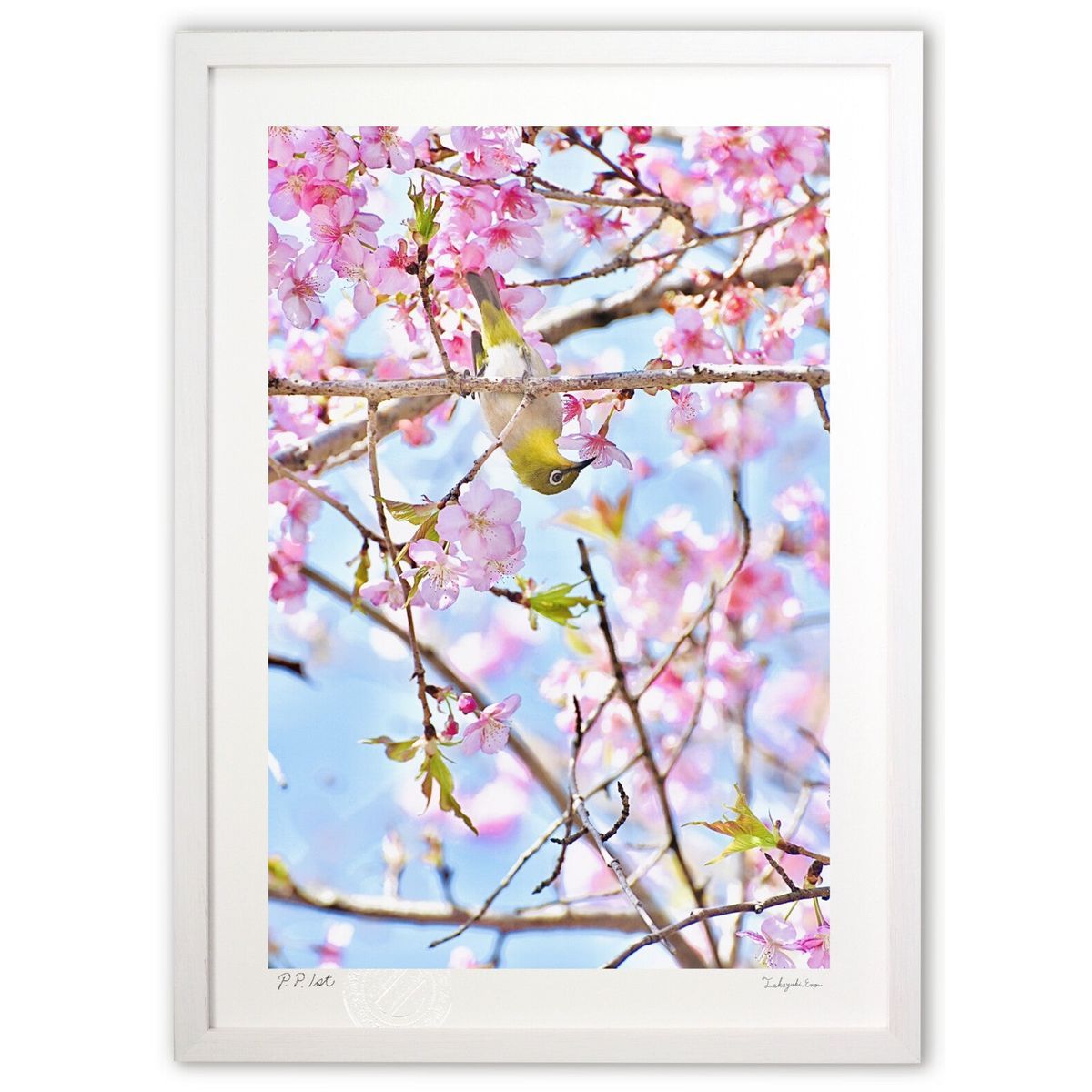 ガッチマンV オシバコ おしぐるみ 缶バッジ スカーフ 缶バッジ 田鷲