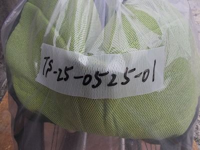 ts-25-0525-01 NEXT-11B-40 一部地域を除き