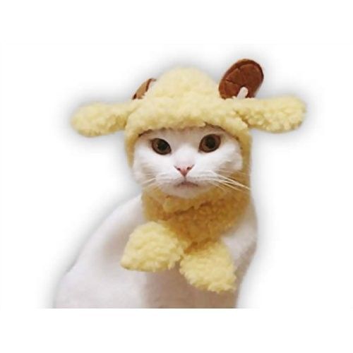 キャットプリン ポワポワ羊さんに変身セット 1枚　猫の服 キャットウエア 付け襟 ネックカラー 帽子 かわいい コスプレ 変装 散歩 記念写真 年賀状 ペット名刺