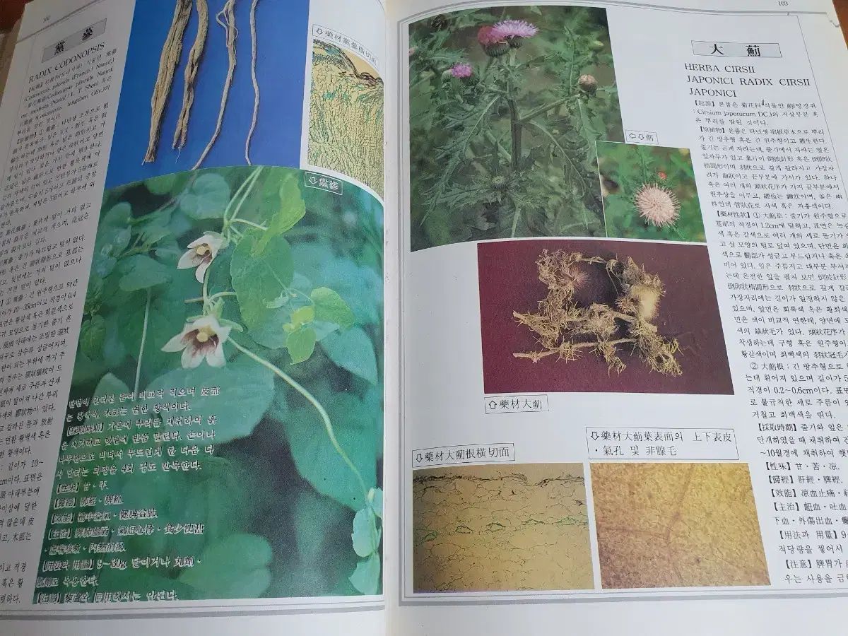 漢方薬百科事典