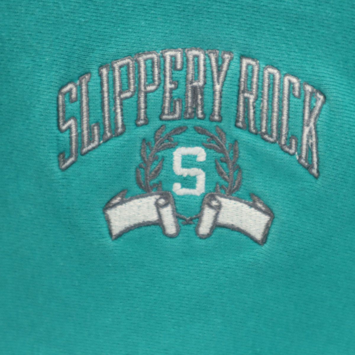 Champion チャンピオン 90s USA製 オールド 刺繍タグ SLIPPERY ROCK 