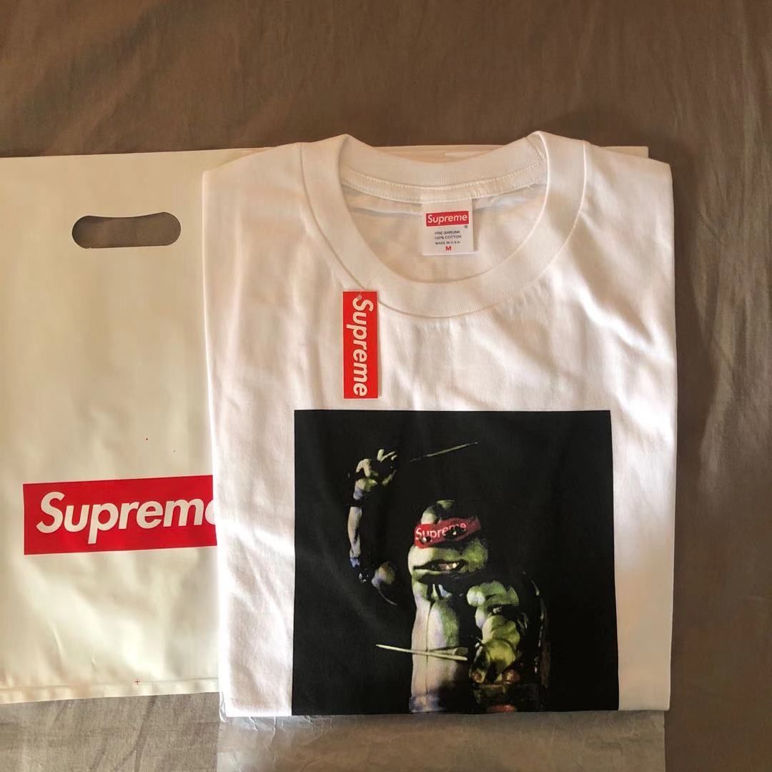 supreme ラファエルTee M