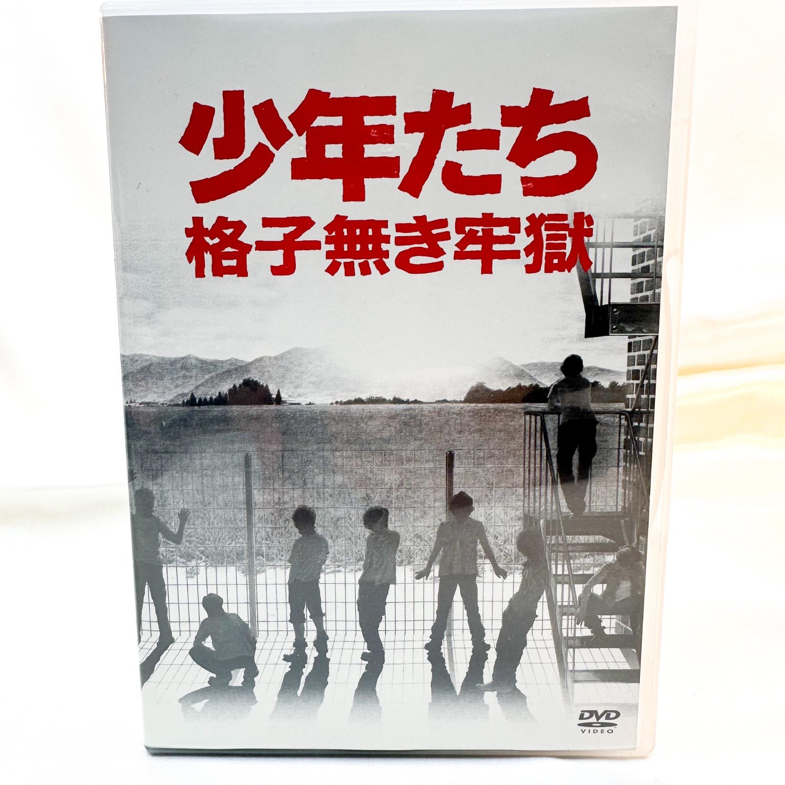 少年たち 格子無き牢獄 2枚組 DVD (B) - メルカリ
