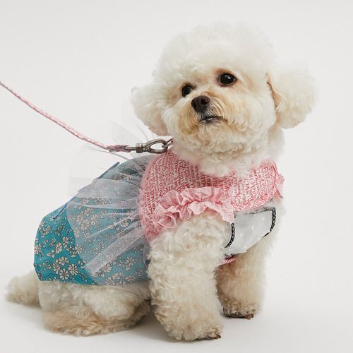 louisdog ルイドッグ