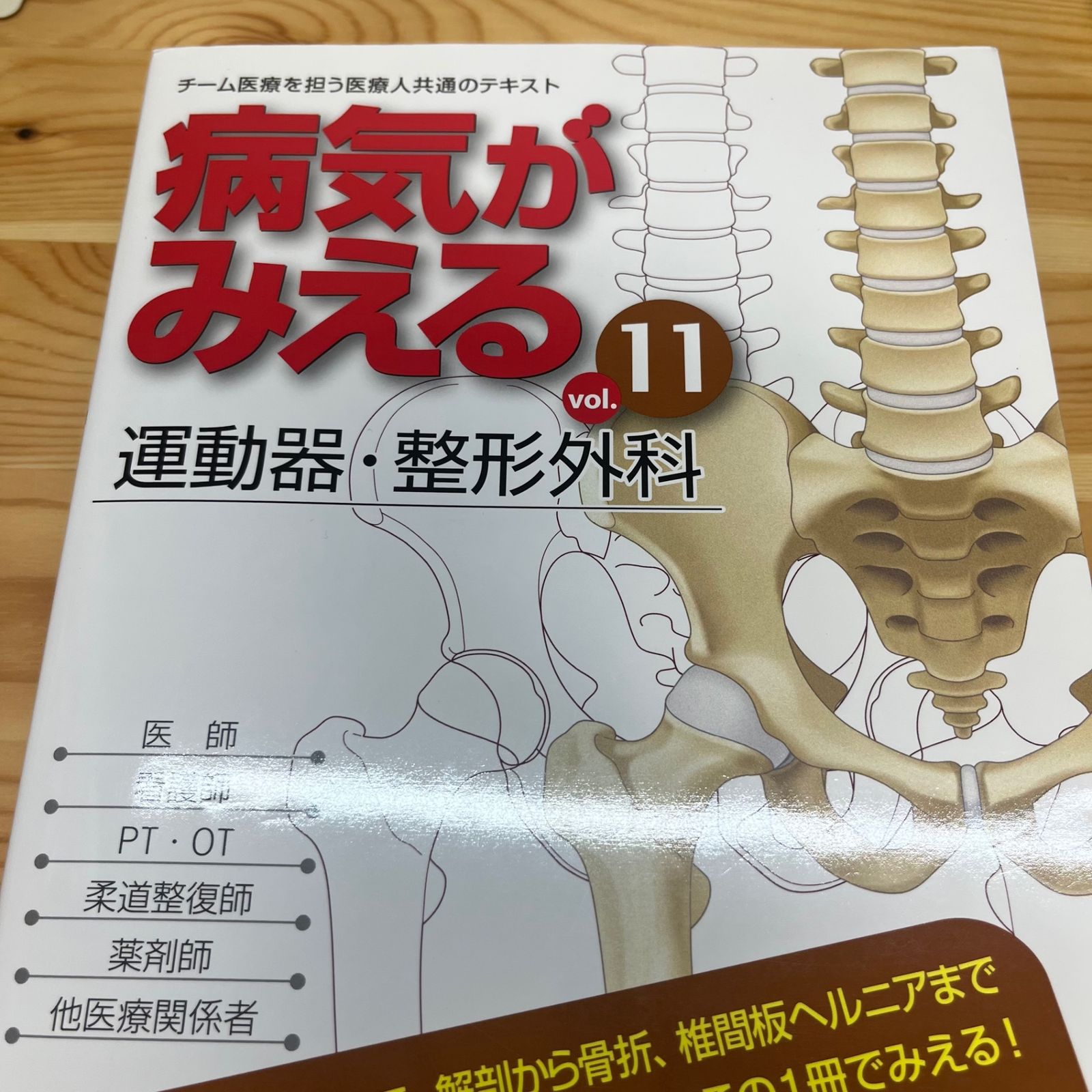 病気がみえる 13巻+公衆衛生1冊セット-まとめ買いセット