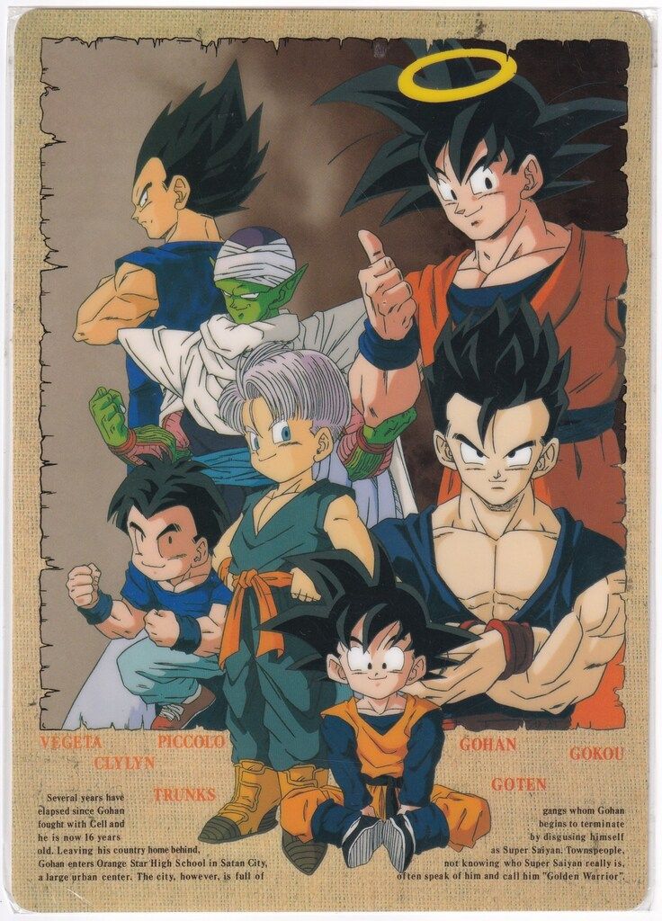 ドラゴンボール PUB Sticker アニメトピア ドラゴンボール PUB Sticker アニメトピア