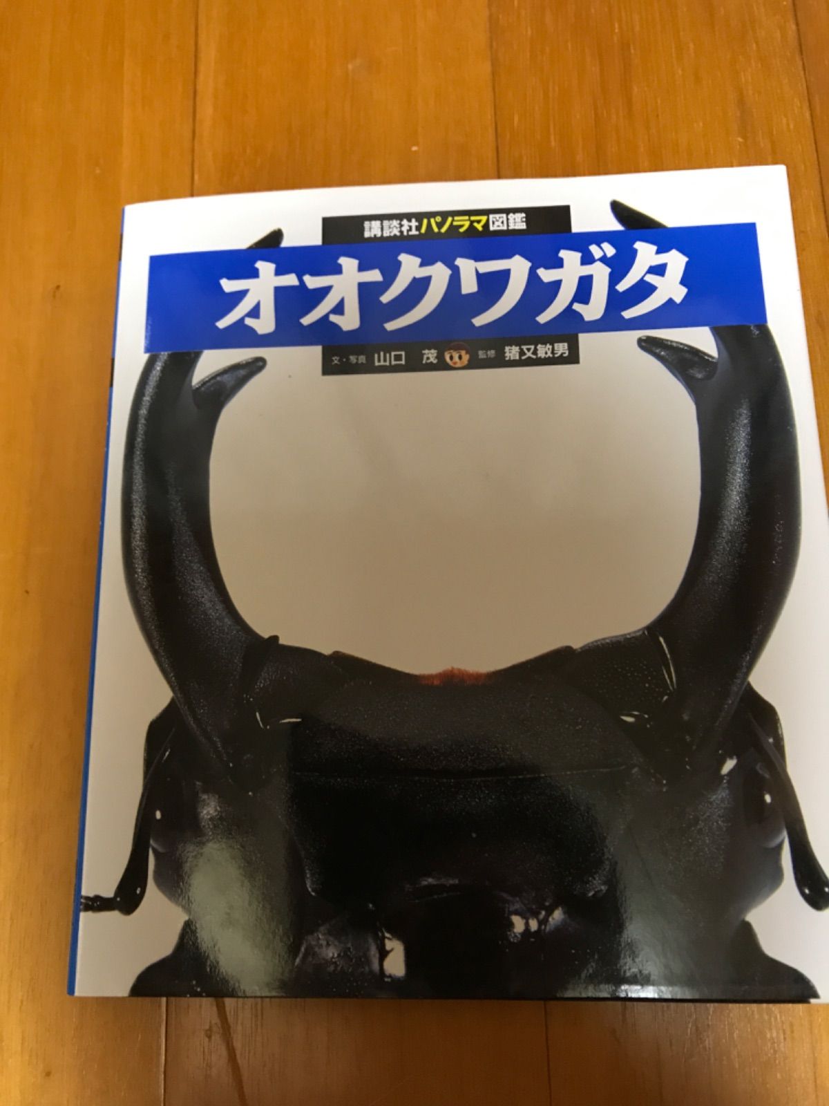 【中古】 インターネット検索術/きんのくわがた社/水野寛之 寛永通宝 鋳込丸一小貝宝 母銭 鑑定書付 504 – 野崎コイン
