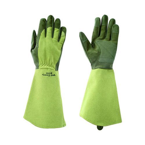 購入前に利用規約をよくお読みください RANKO KANZAKI