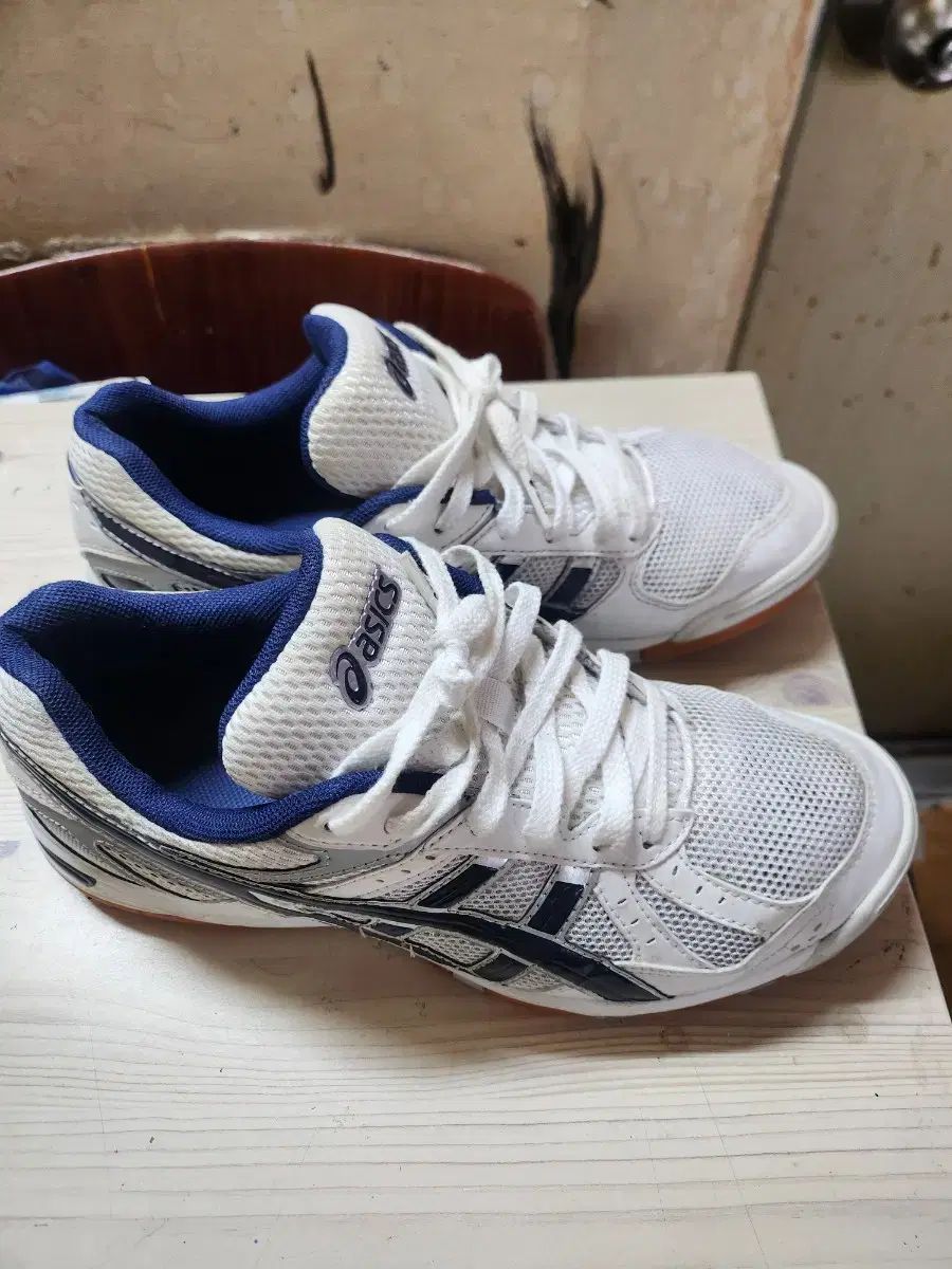 asics アシックス 宝くじ fl5 バレーボール バドミントン スポーツ大学入試 260mm