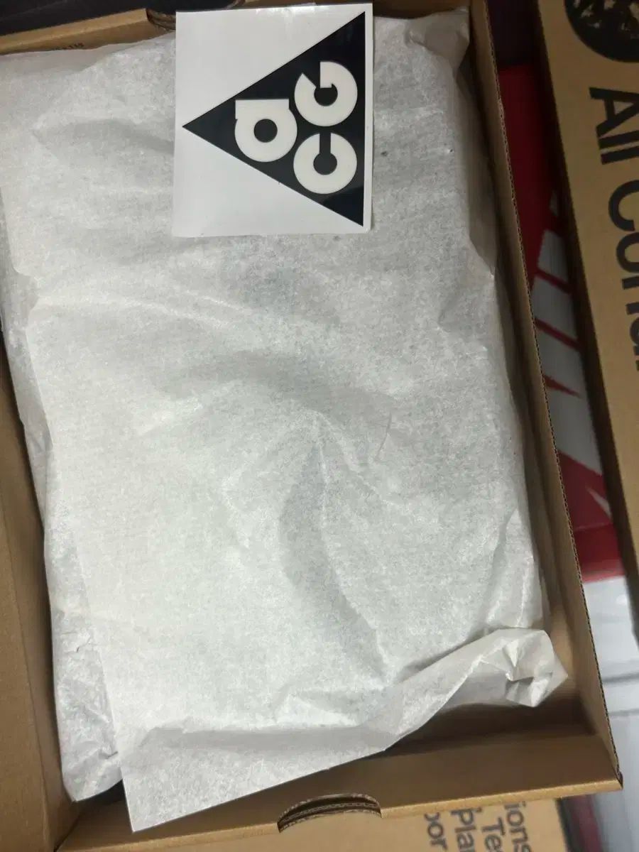 マウンテン フライ