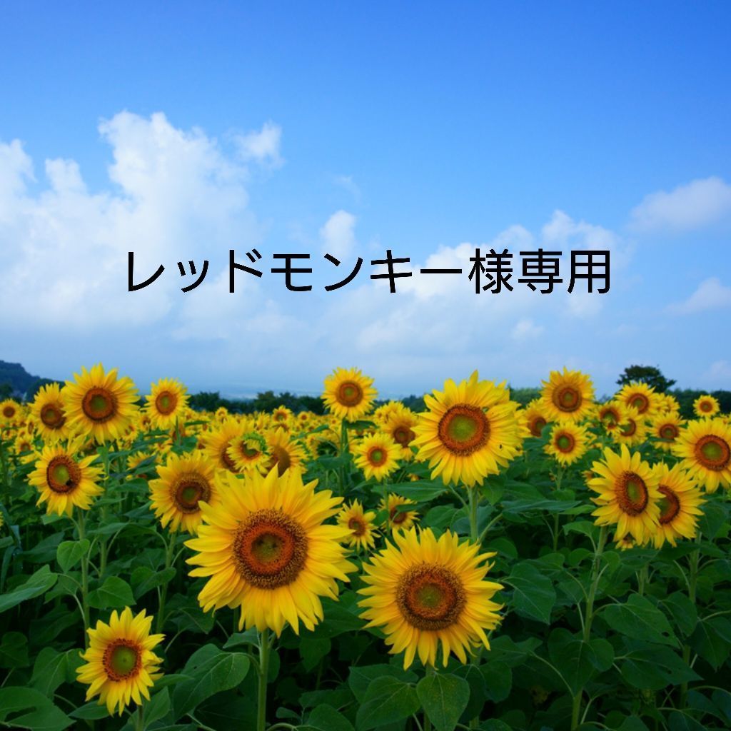 レッドモンキー様専用 1ヶ月程度入荷目安。