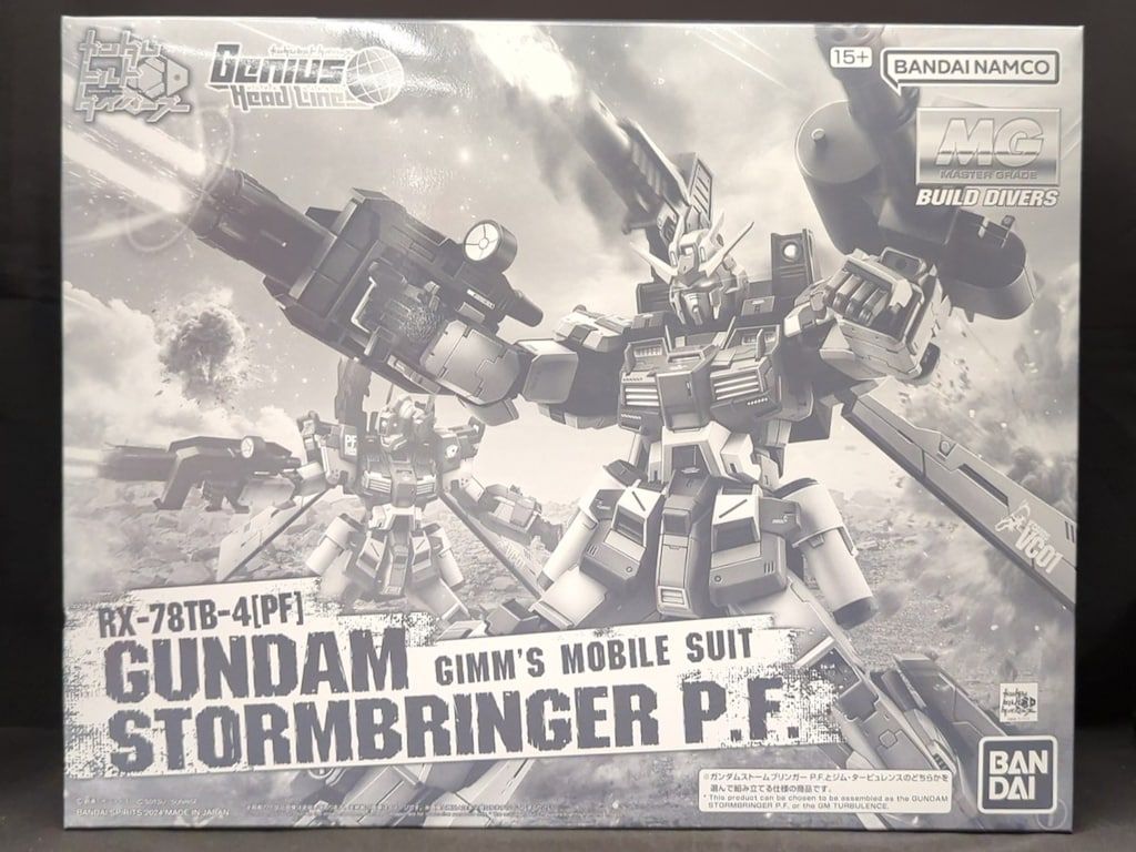 BANDAI SPIRITS MG 1/100 ガンダムビルドダイバーズ Genius Head
